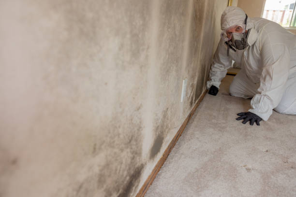 Asbestos and Lead Testing During Mold Inspection in Effort, PA